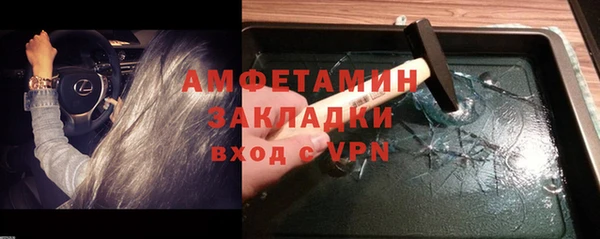шишки Белокуриха