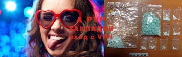 шишки Белокуриха