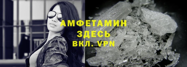 шишки Белокуриха