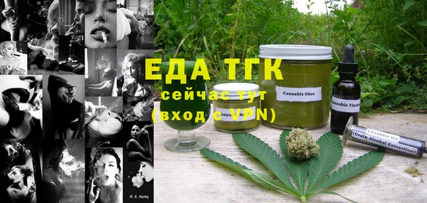 шишки Белокуриха
