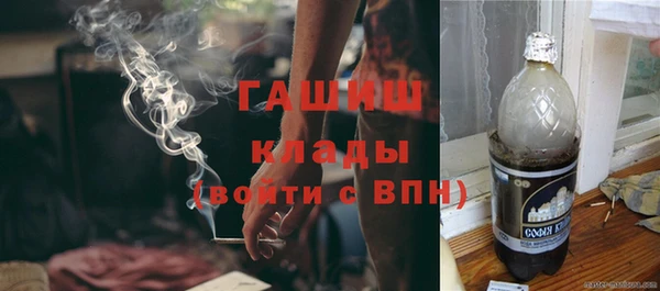 шишки Белокуриха
