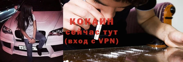 шишки Белокуриха