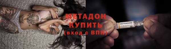 шишки Белокуриха