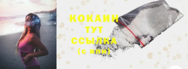 шишки Белокуриха
