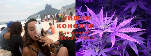 шишки Белокуриха