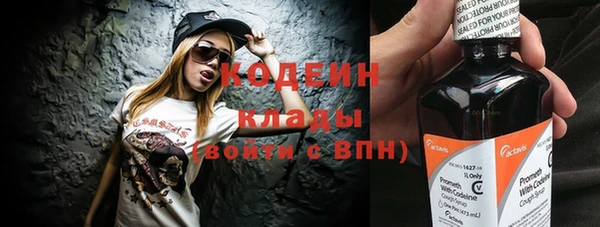 шишки Белокуриха